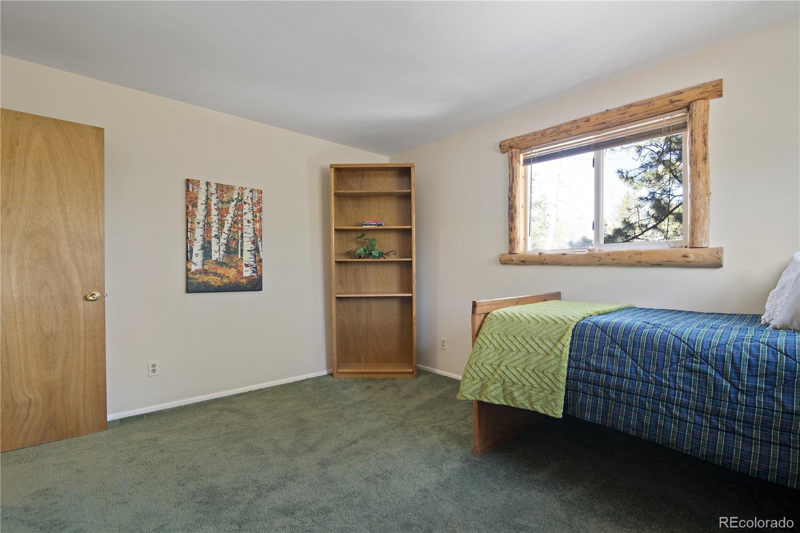 12348 Quartz Spur Conifer, CO 80433 - Photo 19 of 25