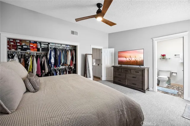 a bed room with a bed a television and a walk in closet