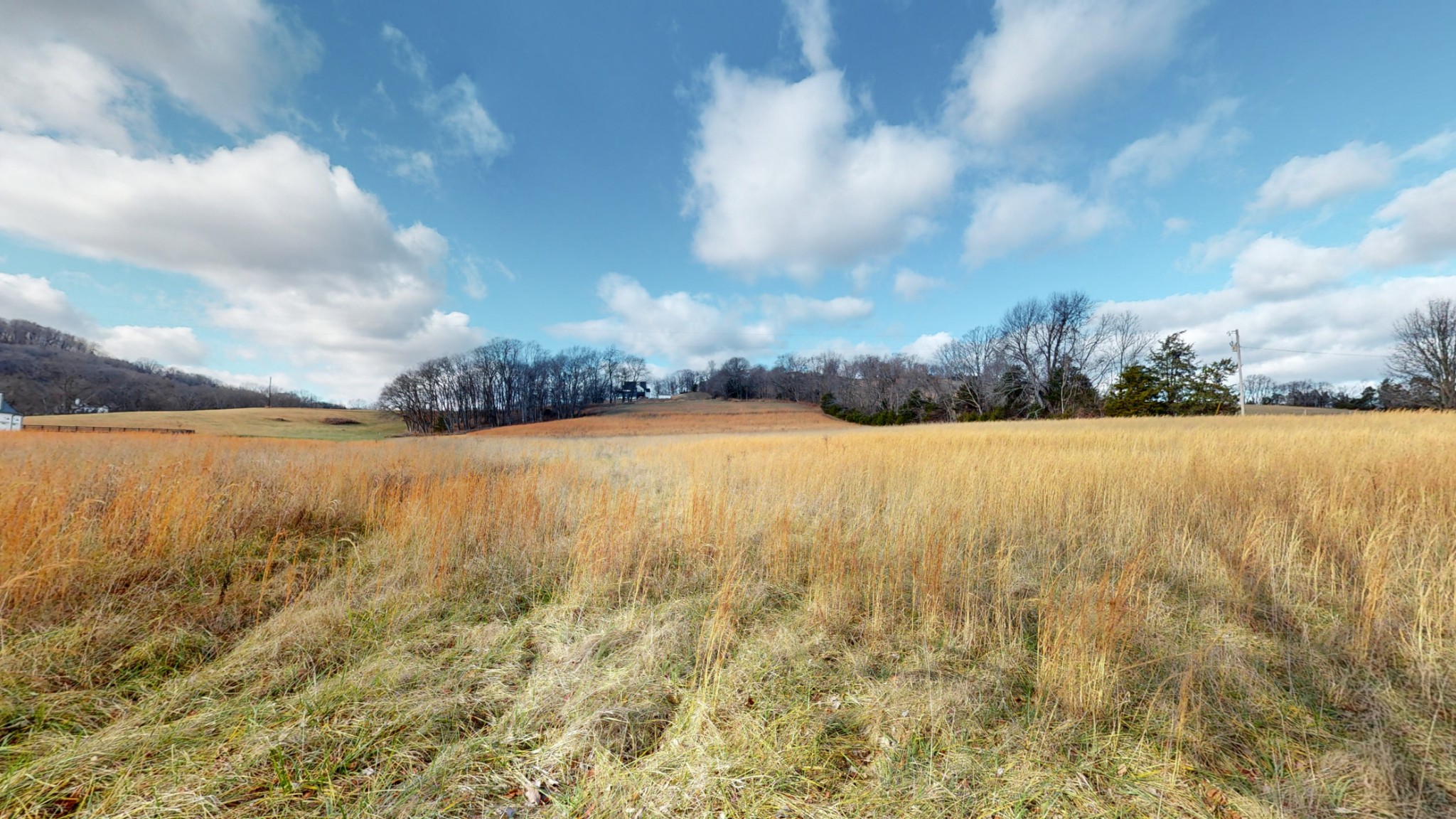 9604 Clovercroft Road Franklin, TN 37067 - Photo 11 of 24