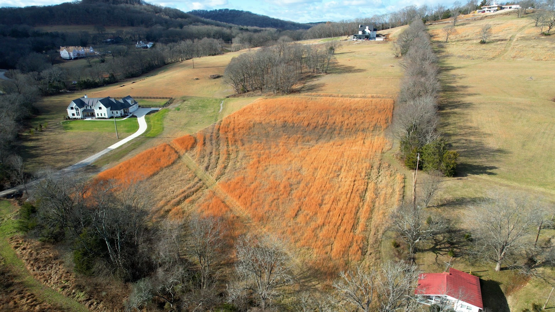 9604 Clovercroft Road Franklin, TN 37067 - Photo 20 of 24