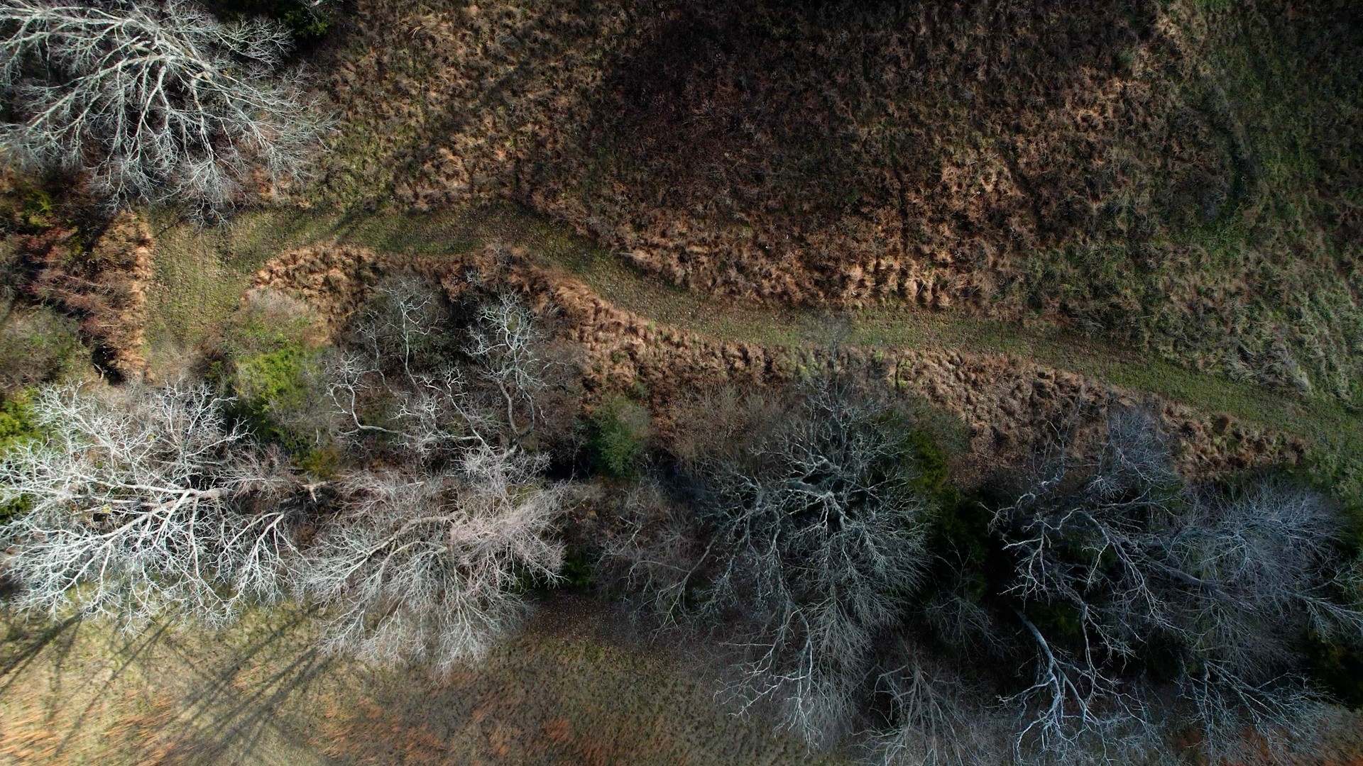 9604 Clovercroft Road Franklin, TN 37067 - Photo 21 of 24