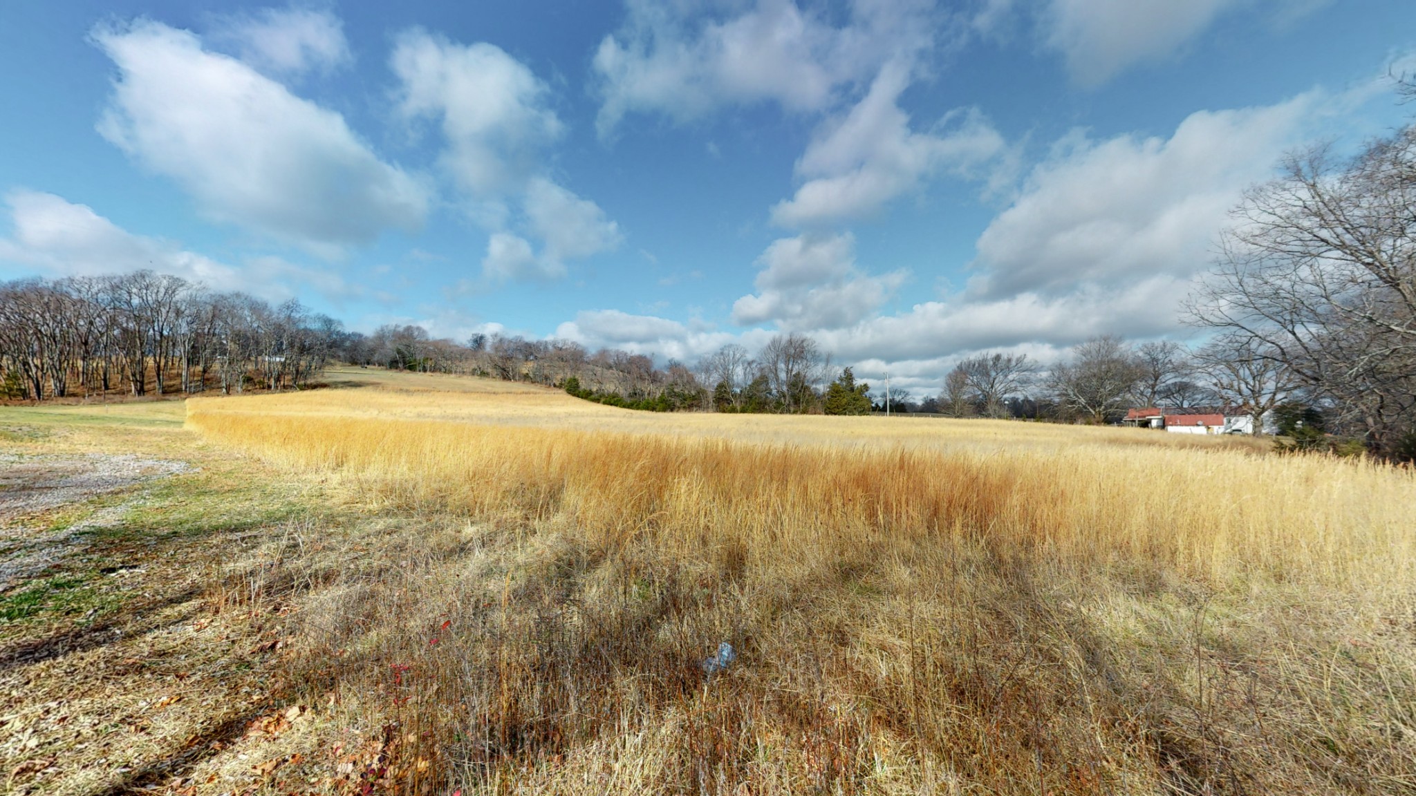 9604 Clovercroft Road Franklin, TN 37067 - Photo 4 of 24