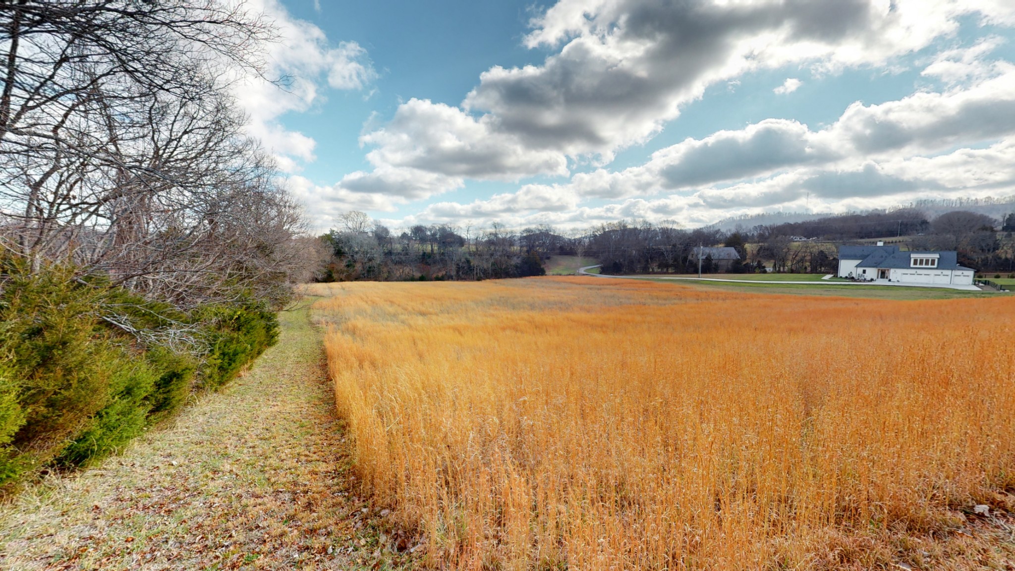 9604 Clovercroft Road Franklin, TN 37067 - Photo 8 of 24