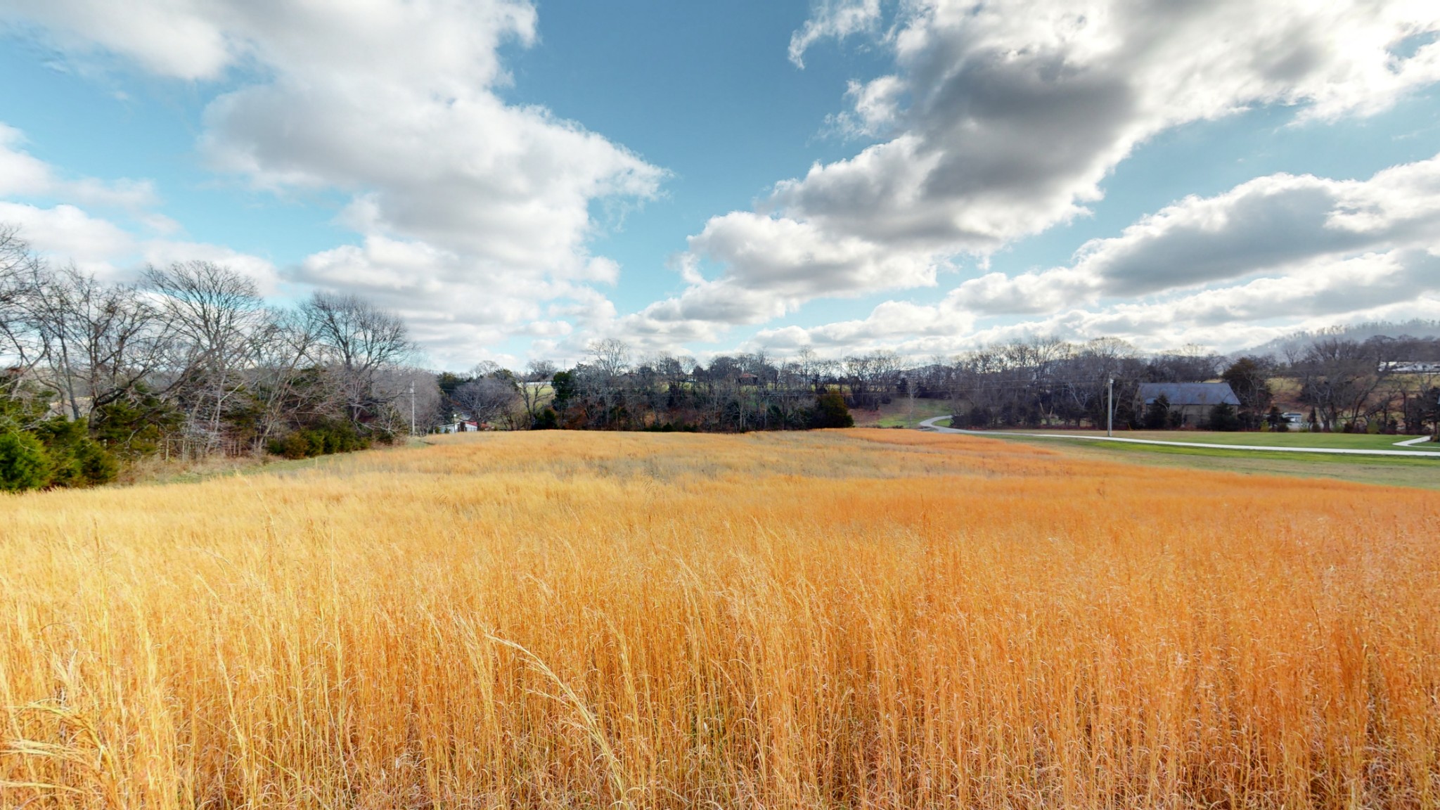 9604 Clovercroft Road Franklin, TN 37067 - Photo 9 of 24