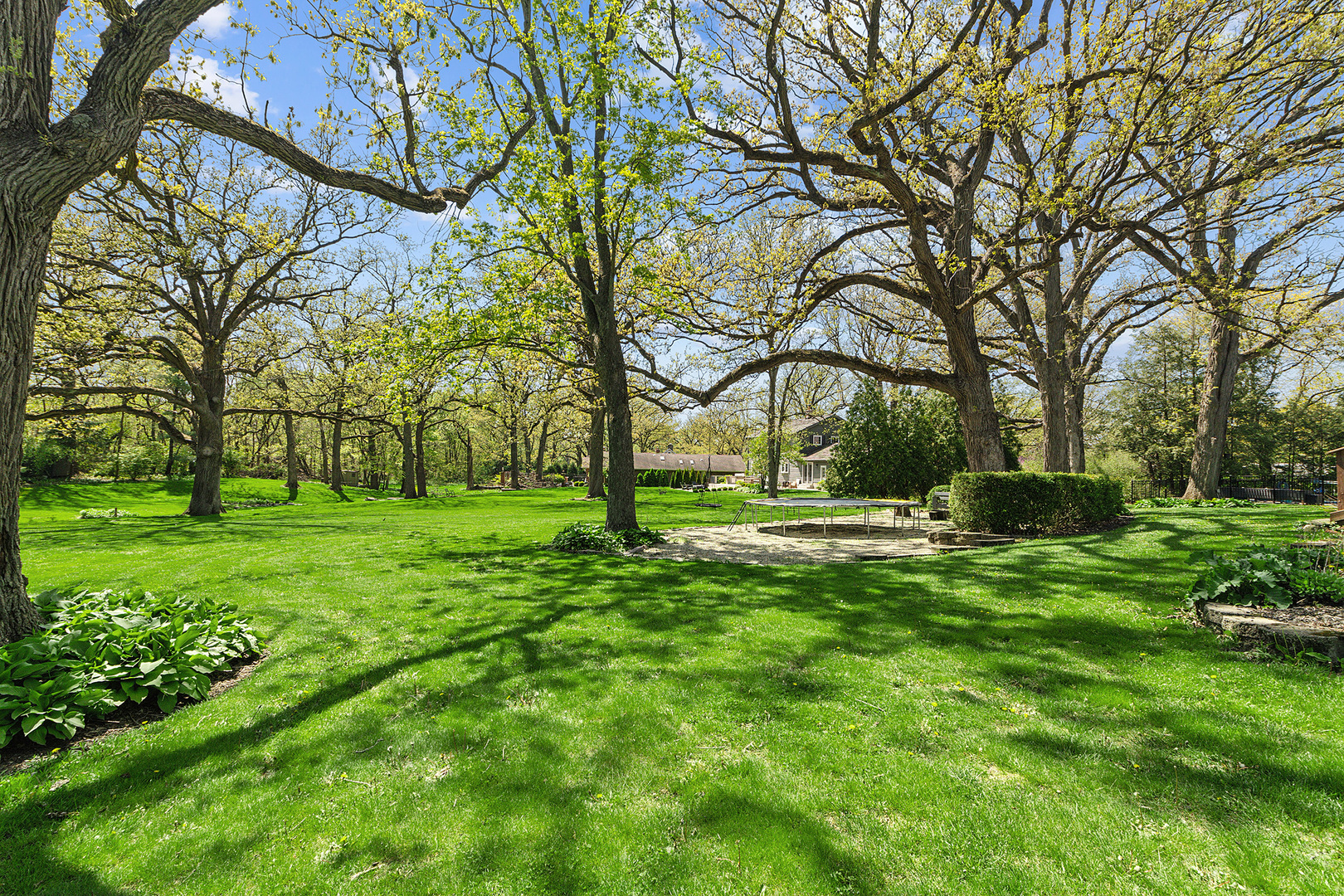506 Aberdeen Road Frankfort, IL 60423 - Photo 53 of 61 a view of a park with tree s