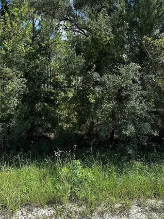 $30,000 | Xx Southeast Xx Se 21st Place, Morriston, FL 32668