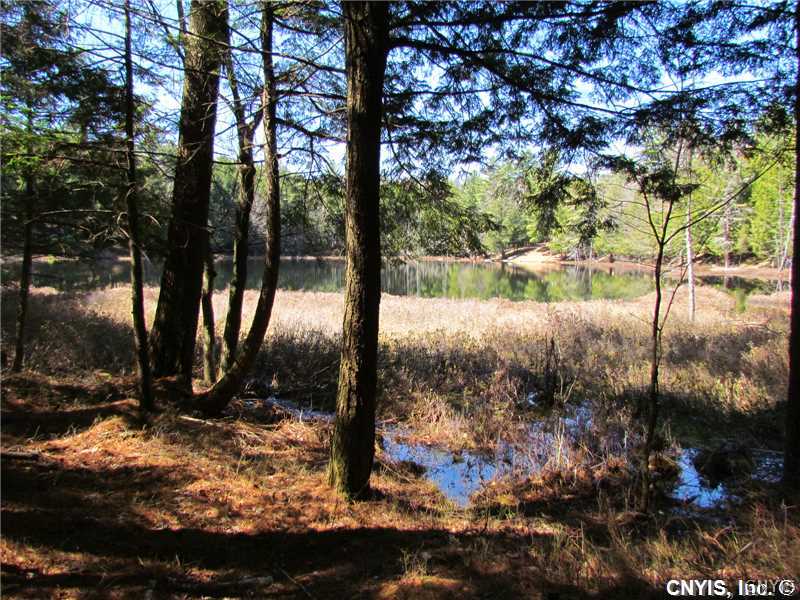 5723 Partridgeville Road Greig, NY 13312 - Photo 1 of 1 Land. Rear of Property backs up to Dwyer Pond