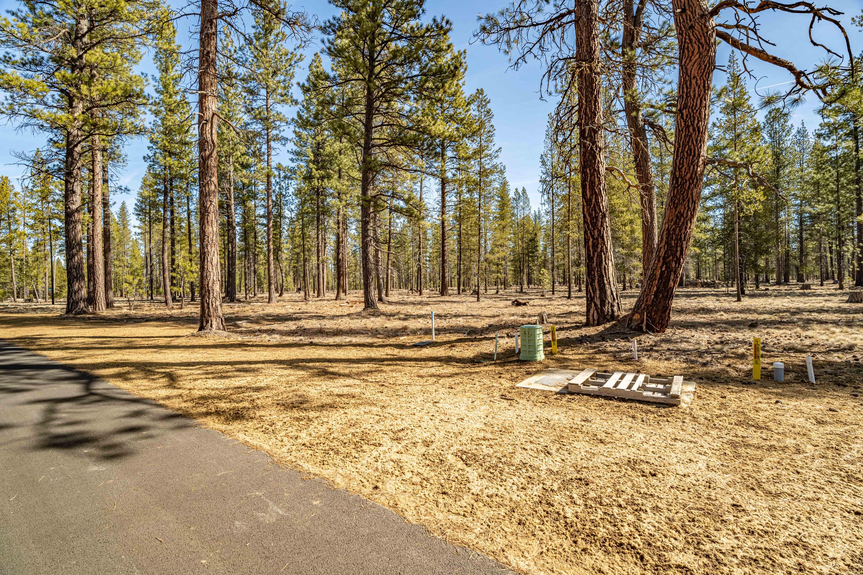 Preservation Loop Bend, Unit 488 Bend, OR 97707 - Photo 2 of 21 DSC07479-2-HDR