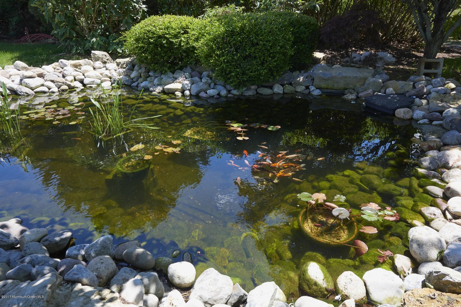 49 Nurko Road Millstone Township, NJ 08535 - Photo 23 of 39 Koi fish pond