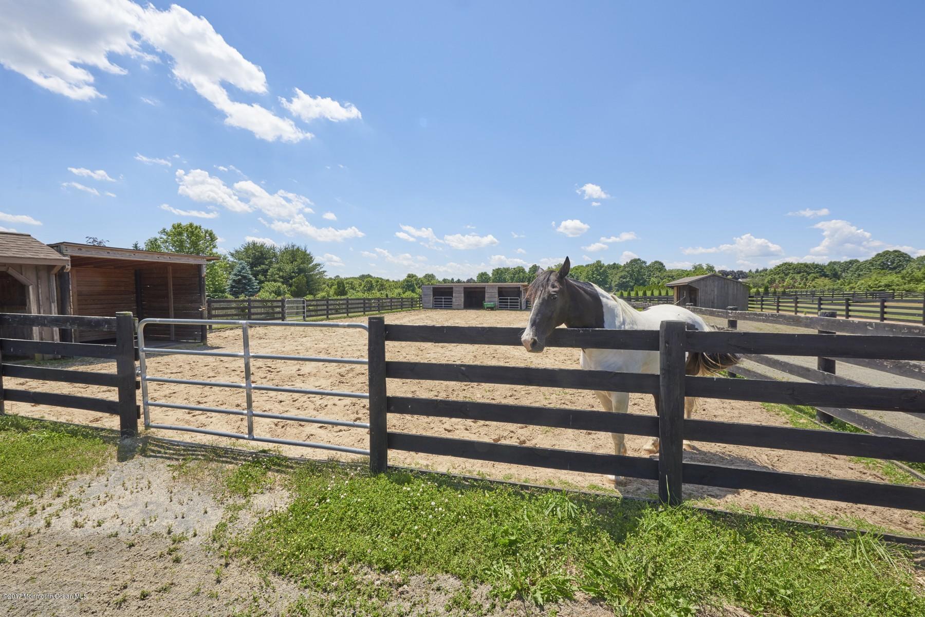 49 Nurko Road Millstone Township, NJ 08535 - Photo 30 of 39 Horse stalls