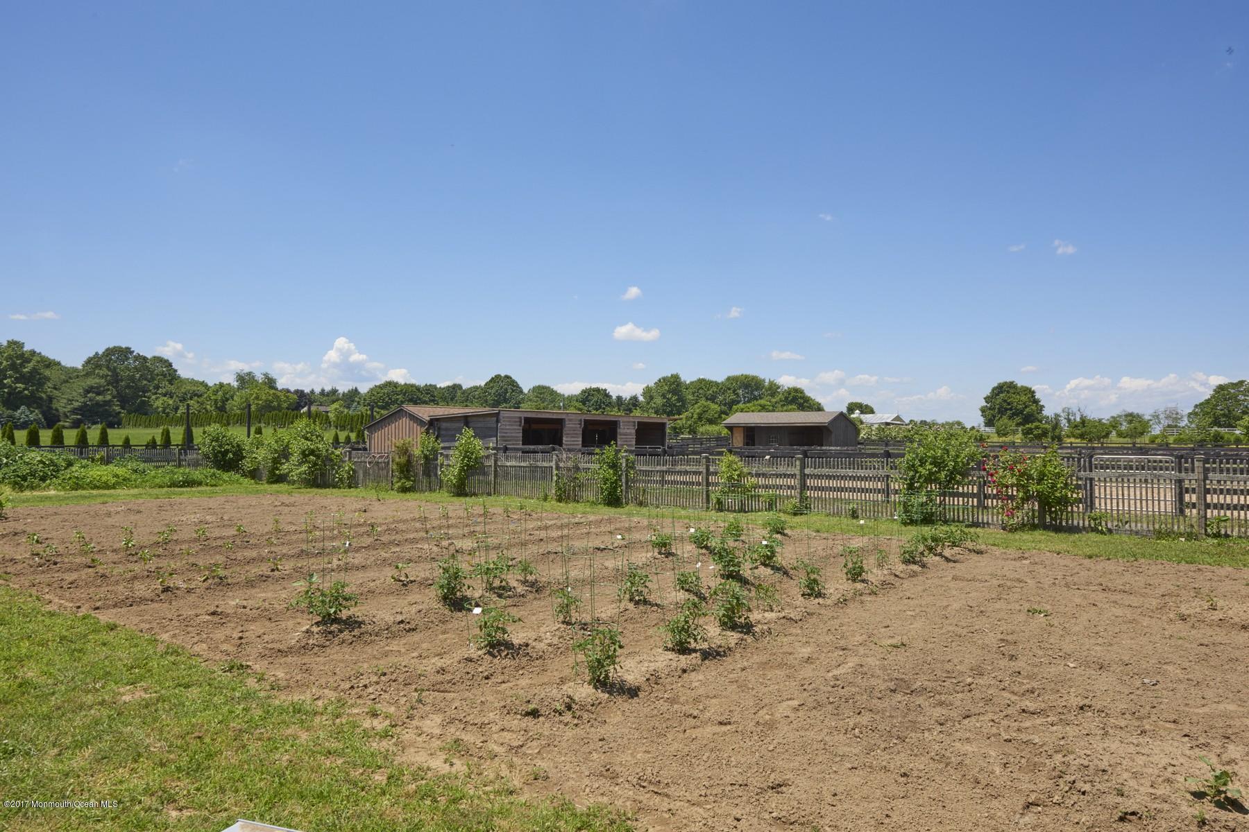 49 Nurko Road Millstone Township, NJ 08535 - Photo 31 of 39 Vegetable garden