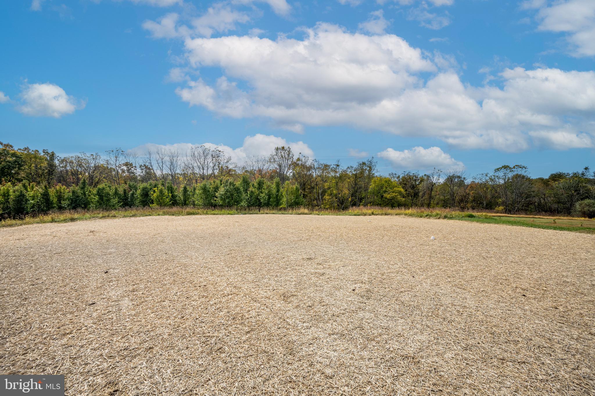 3683 Falling Grn Way Mount Airy, MD 21771 - Photo 50 of 50 a view of lake and mountain view
