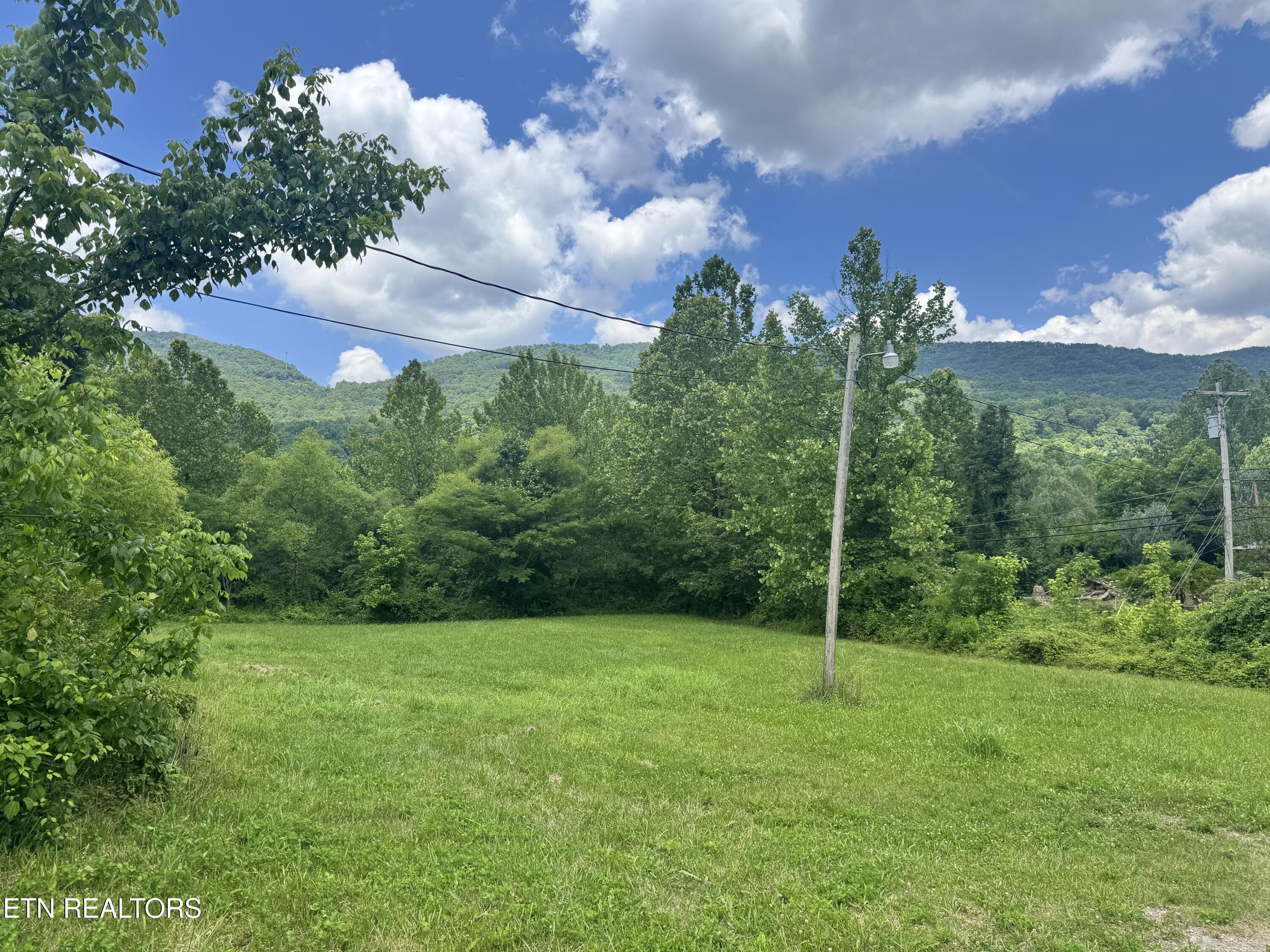 955 Rock Haven Road Bean Station, TN 37708 - Photo 15 of 23 Big House Side Yard