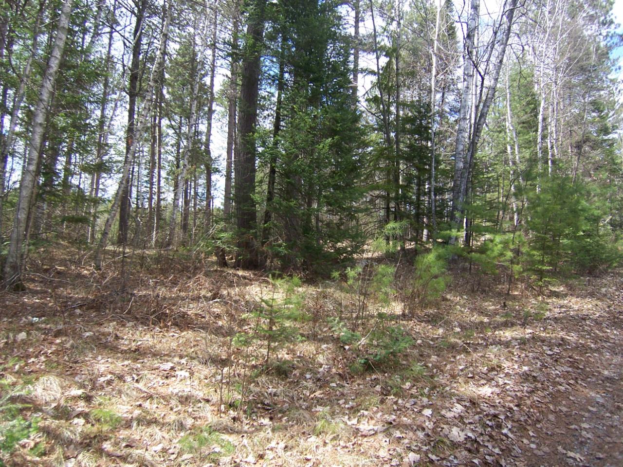 On Lake Agnes Road Pickerel, WI 54465 - Photo 1 of 4 Gallery Image 1