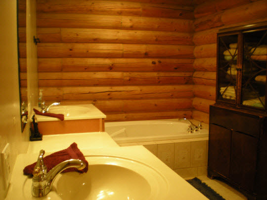 8470 Friday Road Davis Junction, IL 61020 - Photo 5 of 11 a bathroom with a bathtub