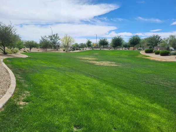 a view of grassy field with grass and trees