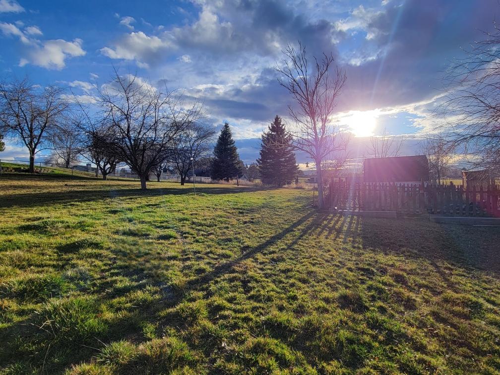 3257 Northeast Yellowpine Road Prineville, OR 97754 - Photo 25 of 30 Resized_20240201_160939_1706836815320