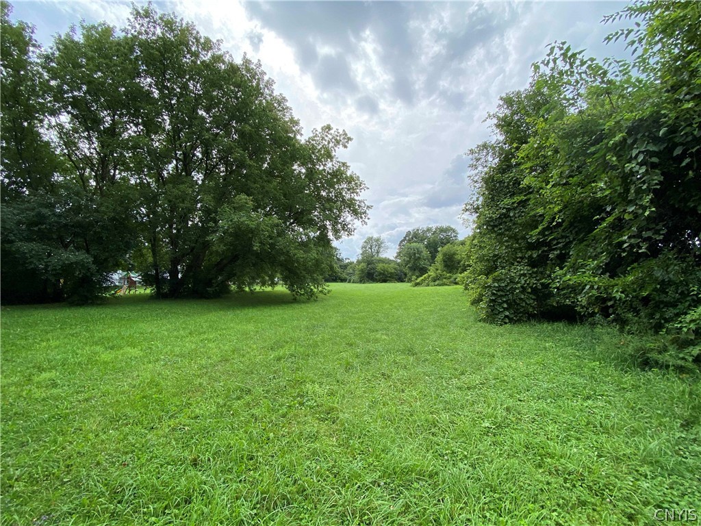 9-acres Buckley Road Liverpool, NY 13088 - Photo 4 of 10