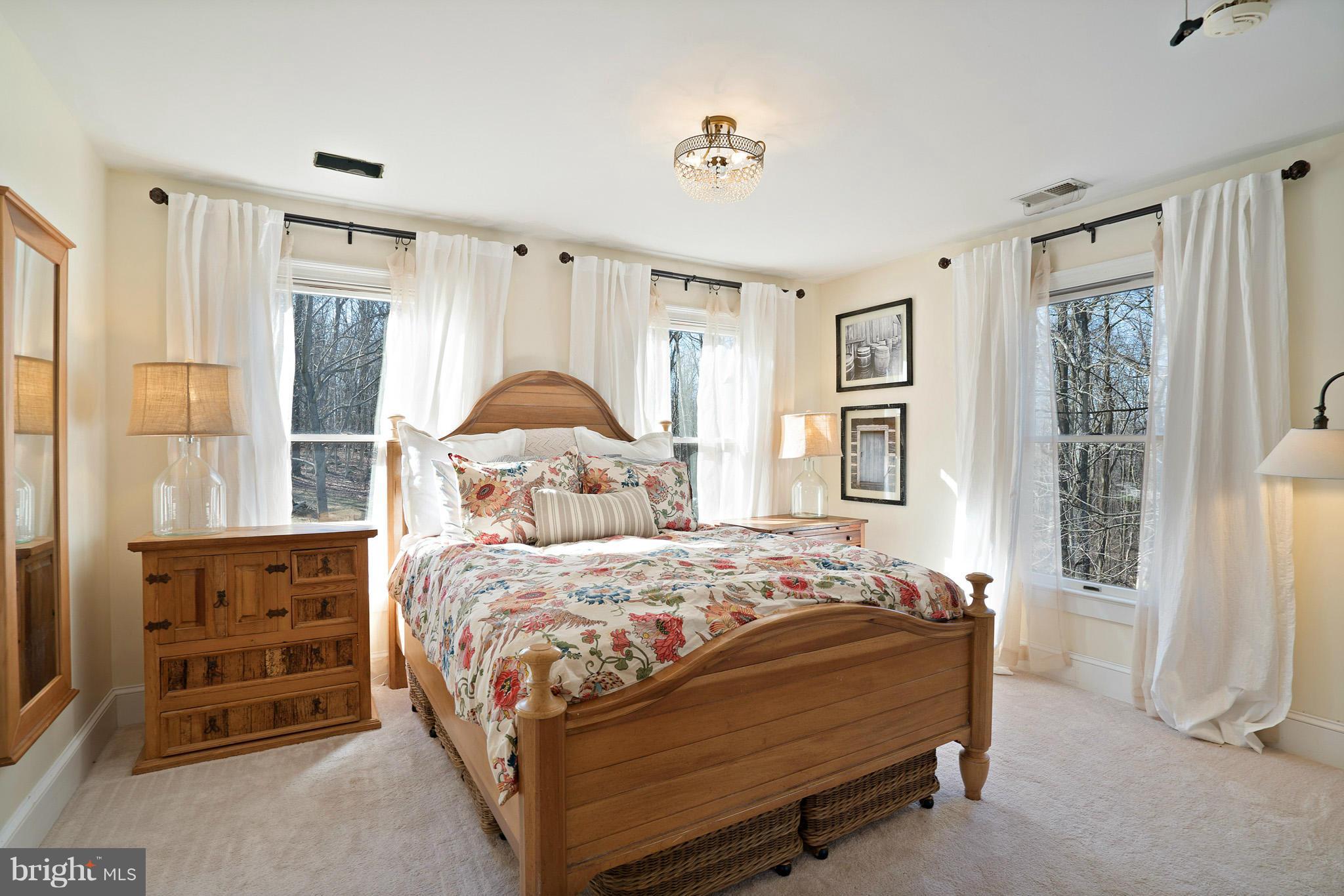 20285 Blue Ridge Mountain Road Paris, VA 20130 - Photo 16 of 30 Gorgeous master suite!