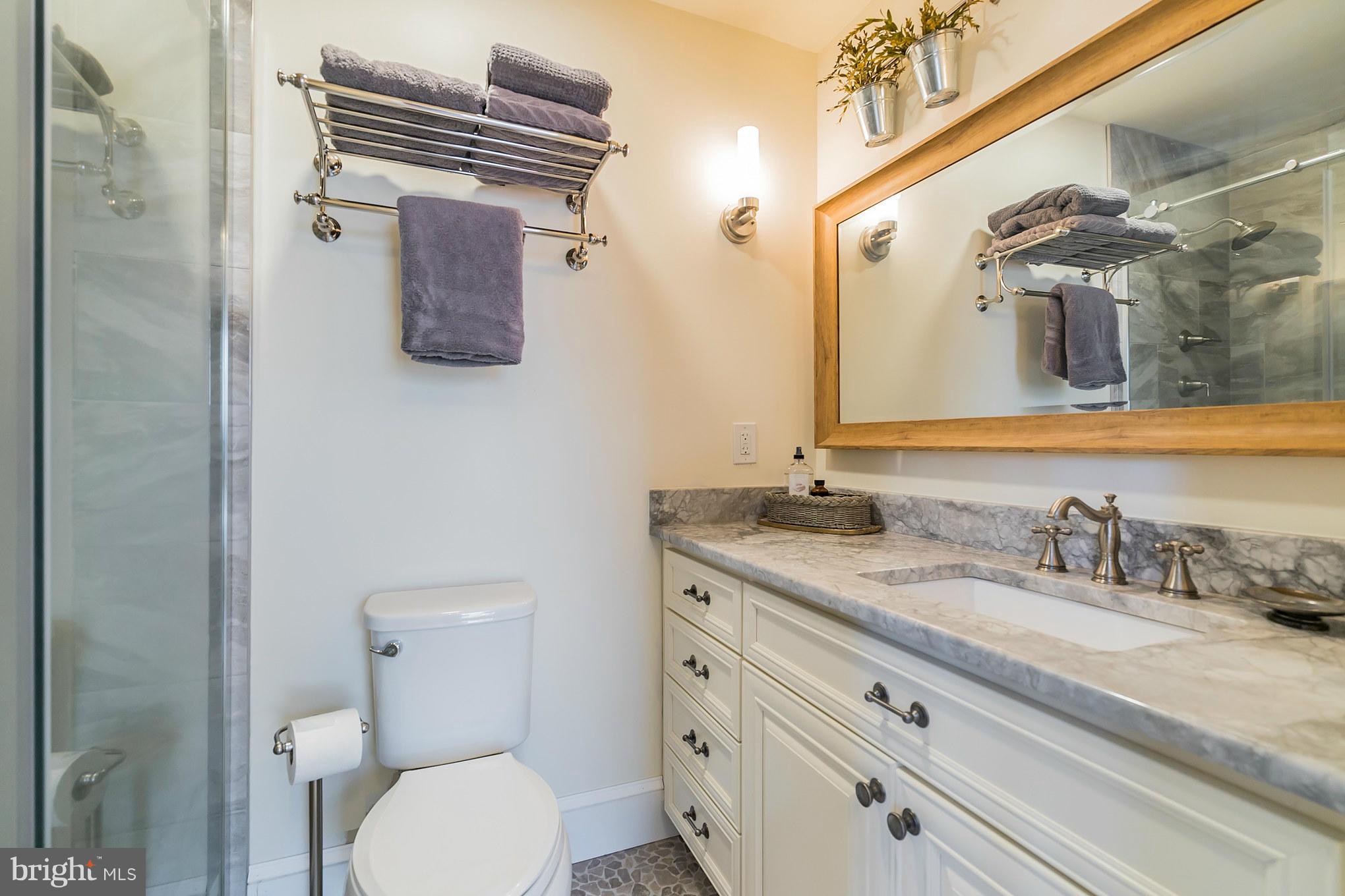 20285 Blue Ridge Mountain Road Paris, VA 20130 - Photo 20 of 30 Master bath is stunning!