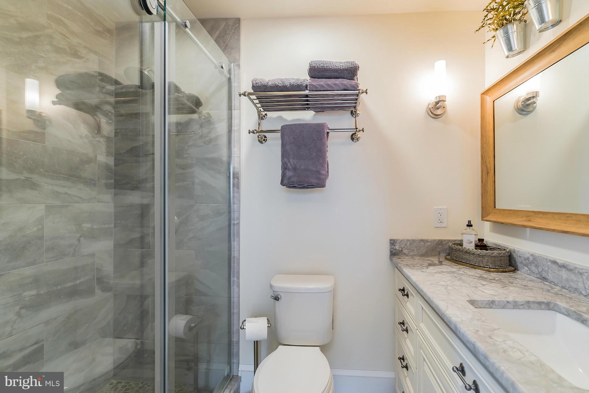20285 Blue Ridge Mountain Road Paris, VA 20130 - Photo 21 of 30 Check out the Master shower!