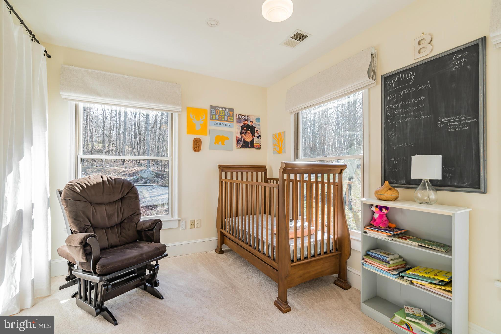 20285 Blue Ridge Mountain Road Paris, VA 20130 - Photo 23 of 30 3rd bedroom - or office - perfect!