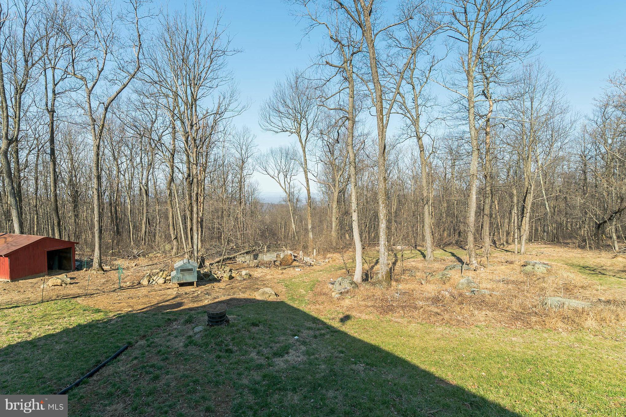20285 Blue Ridge Mountain Road Paris, VA 20130 - Photo 28 of 30 The views of the valley are amazing!