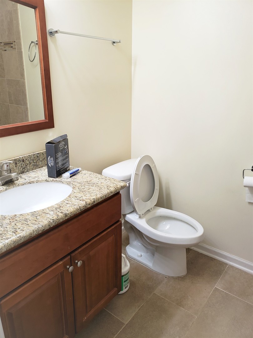 3554 South Dearborn Street Chicago, IL 60609 - Photo 15 of 22 a bathroom with a granite countertop toilet and a sink