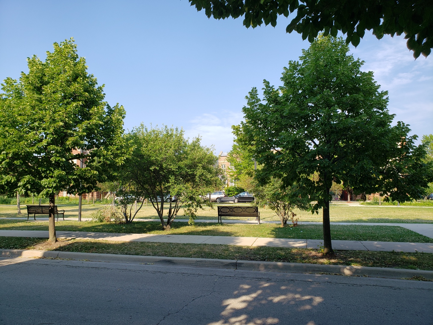 3554 South Dearborn Street Chicago, IL 60609 - Photo 21 of 22 a view of a park with large trees