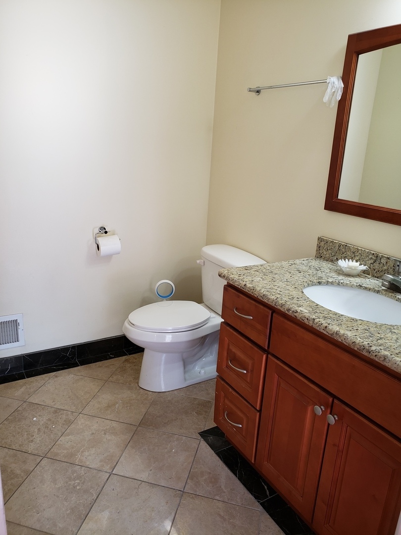 3554 South Dearborn Street Chicago, IL 60609 - Photo 5 of 22 a bathroom with a granite countertop toilet and a sink