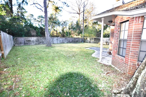 a view of backyard with small cabin