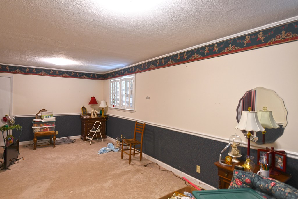 437 Trinity Road Saluda, SC 29138 - Photo 13 of 23