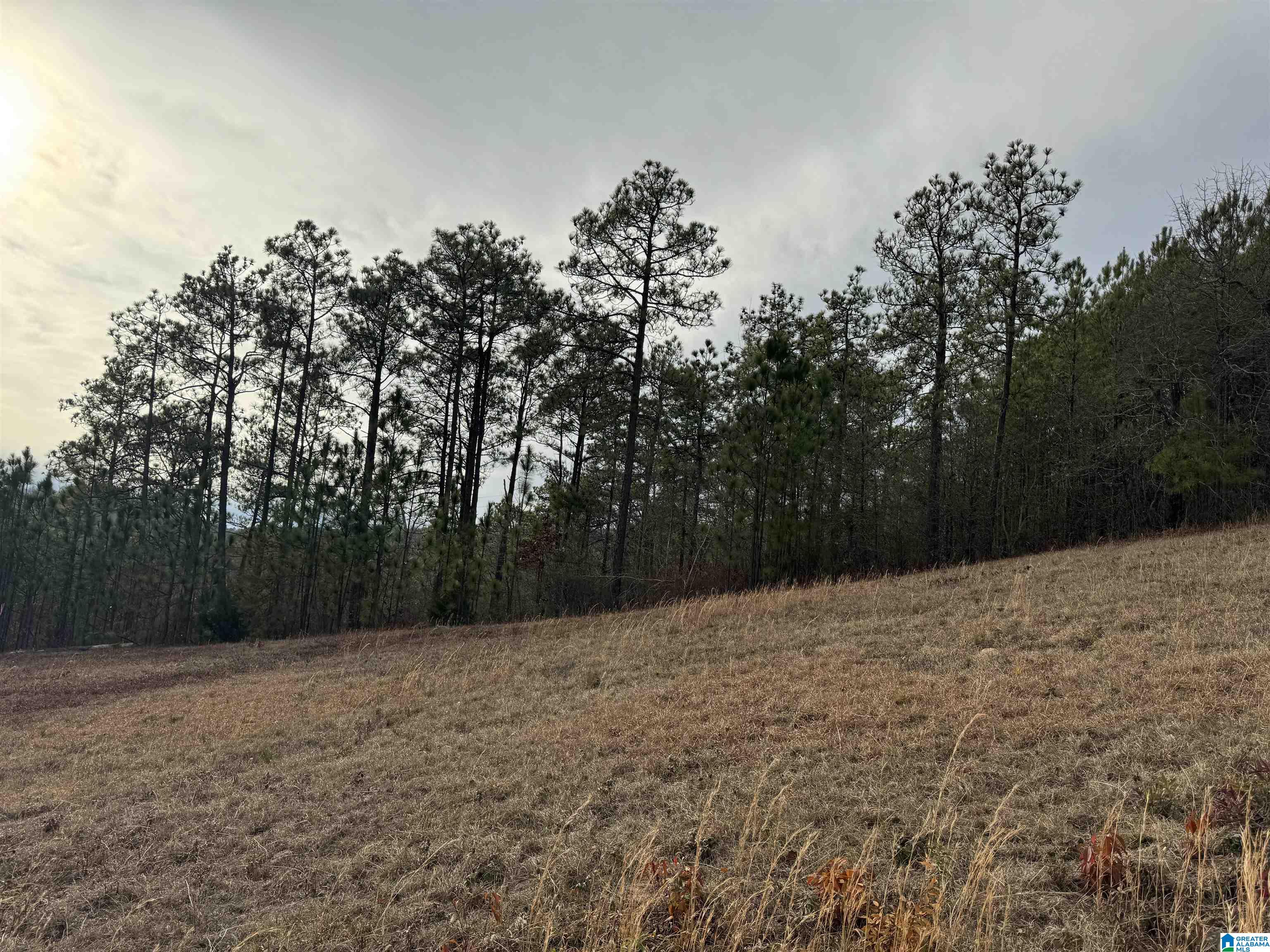 223 Mountain Ridge Road, Unit 65A AND 66A Oxford, AL 36203 - Photo 9 of 37 Gallery Image 9