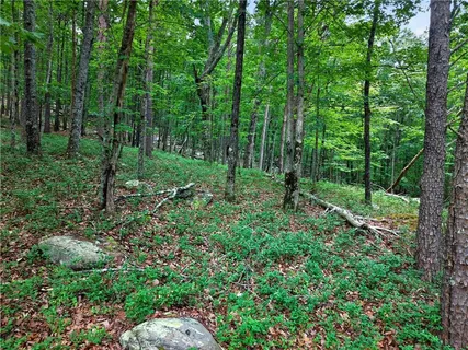 a view of outdoor space and garden