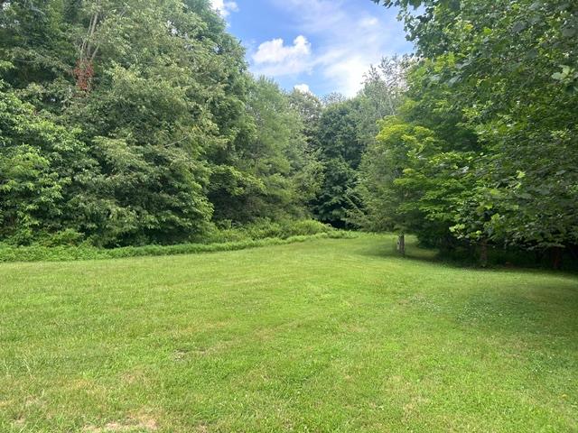 24229 Sanes Creek Road Laurel, IN 47024 - Photo 49 of 54