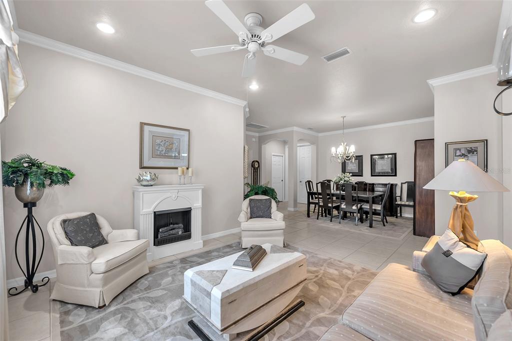 321 Silver Falls Drive Apollo Beach, FL 33572 - Photo 7 of 51 a living room with furniture and a fireplace