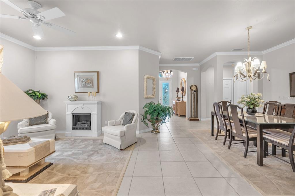 321 Silver Falls Drive Apollo Beach, FL 33572 - Photo 8 of 51 a living room with furniture a fireplace and a chandelier