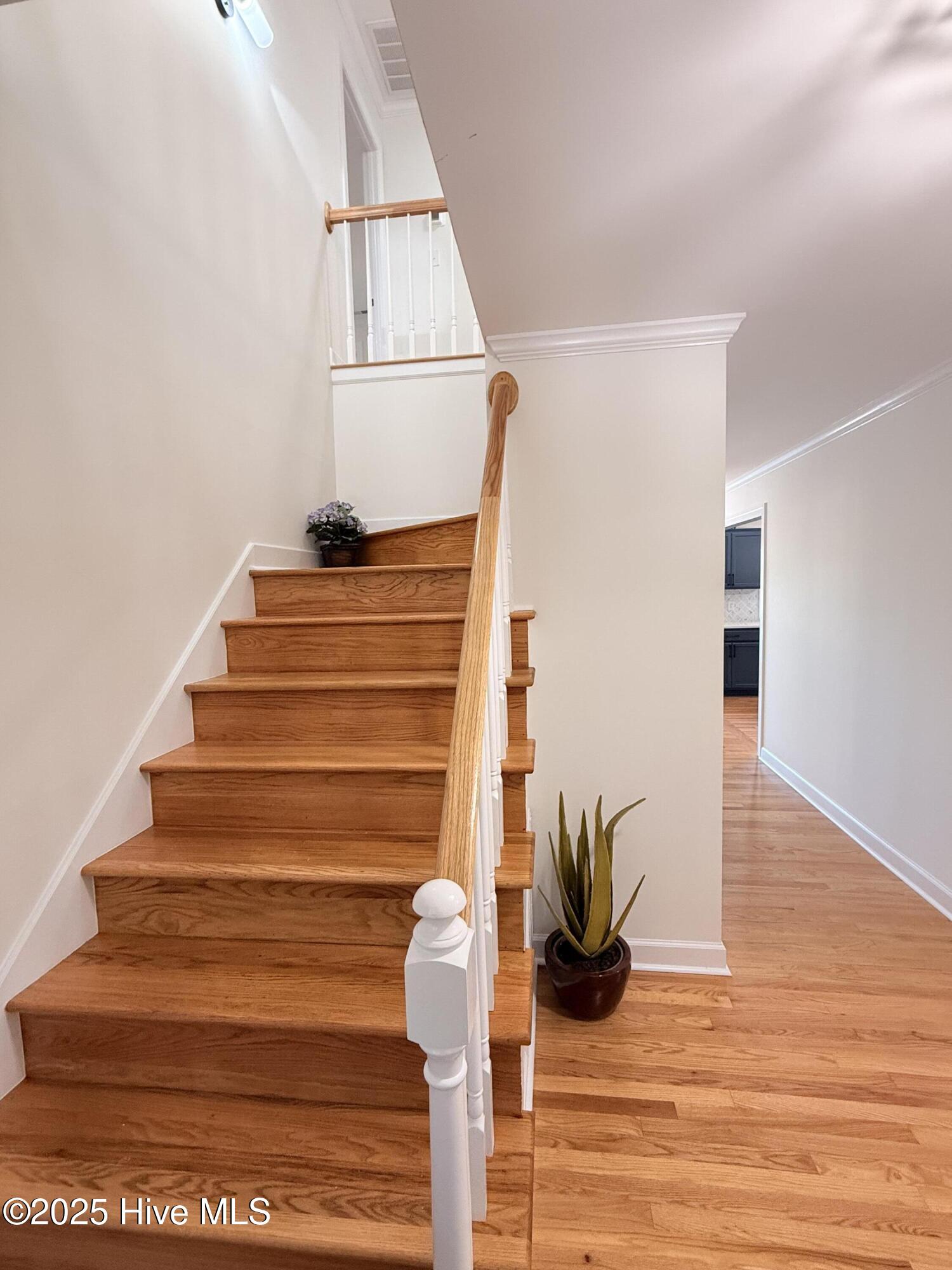 273 West Rock Creek Road New Bern, NC 28562 - Photo 21 of 43 IMG_6684