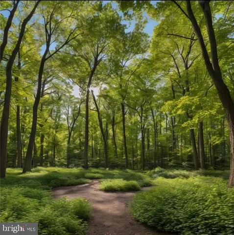 a view of backyard with green space