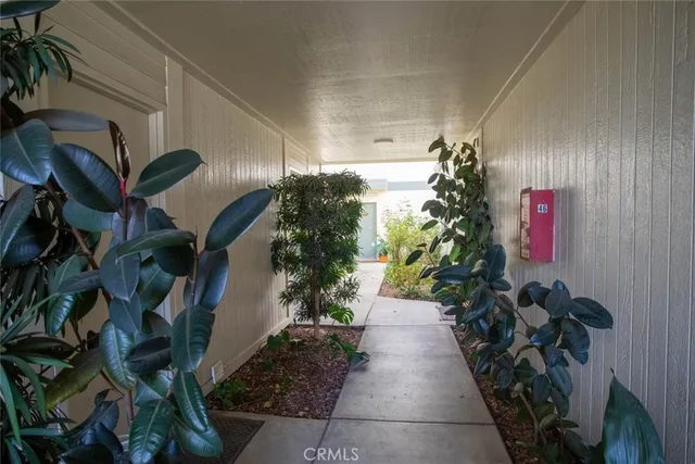 a potted plant sitting in front of a house