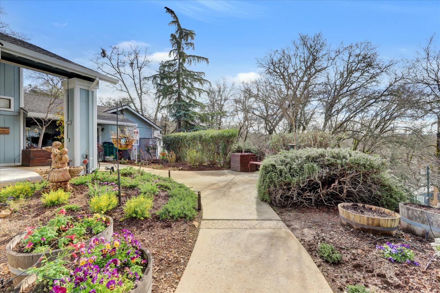 12025 Wanderer Road Auburn, CA 95602 - Photo 59 of 99