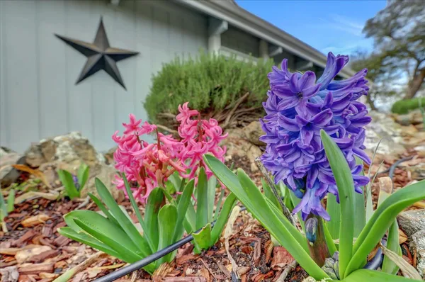 $1,025,000 | 12025 Wanderer Road, Auburn, CA 95602