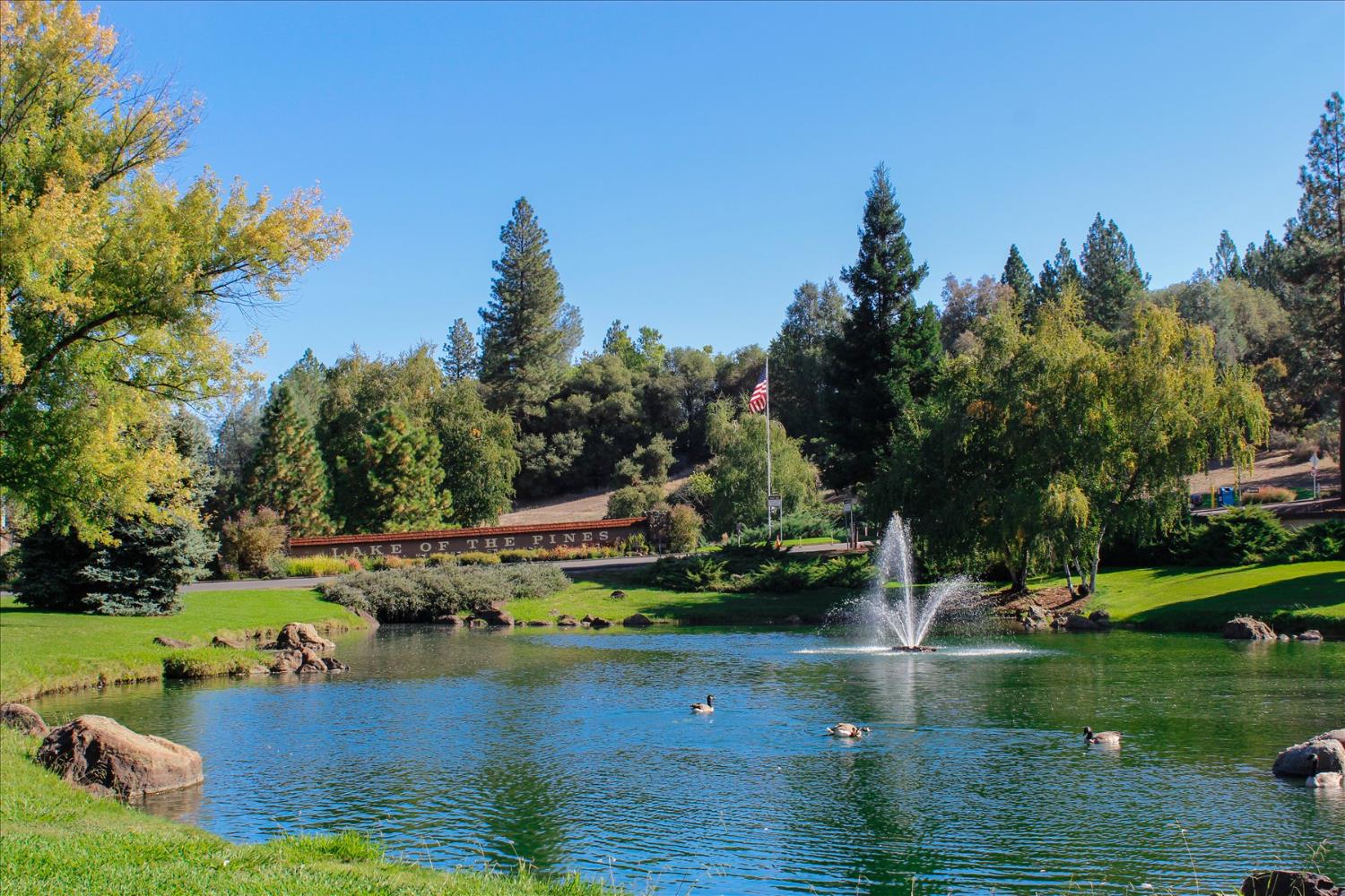 12025 Wanderer Road Auburn, CA 95602 - Photo 81 of 99