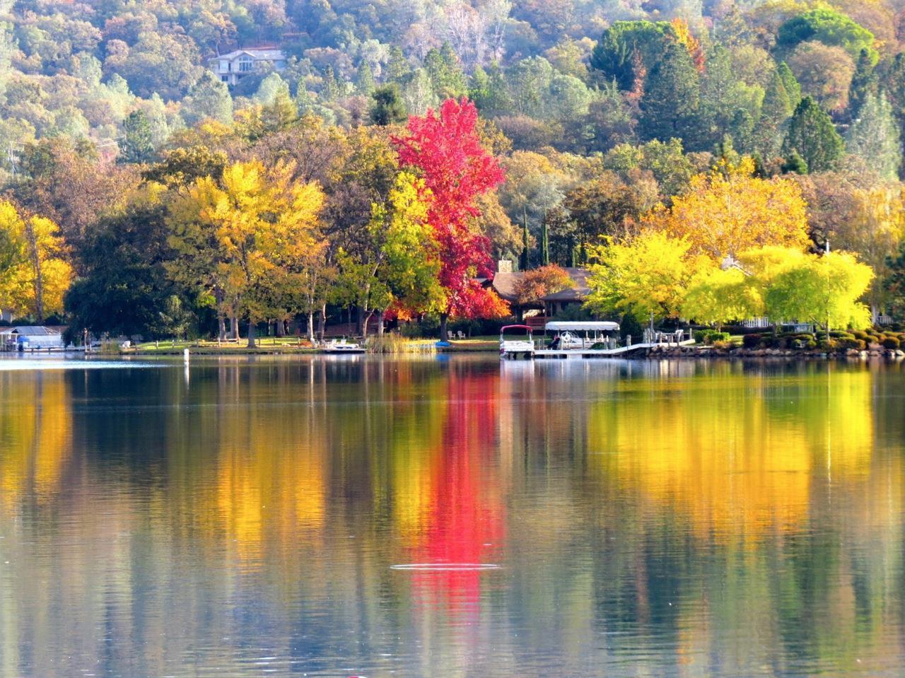 12025 Wanderer Road Auburn, CA 95602 - Photo 99 of 99