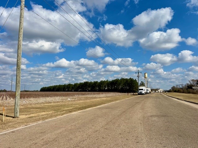 Undisclosed Address Headland, AL 36345 - Photo 31 of 36