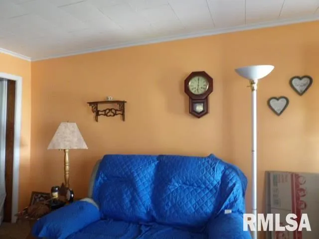 $55,000 | 205 West Washington Street, Carrier Mills, IL 62917