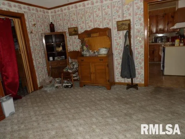 $55,000 | 205 West Washington Street, Carrier Mills, IL 62917