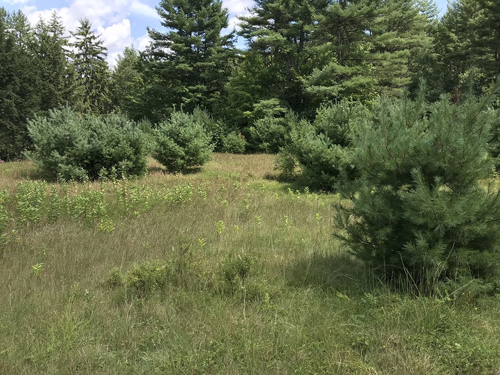 0 Pepperell Road Groton, MA 01450 - Photo 8 of 10 Gallery Image 8