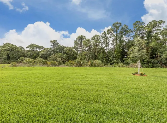 a view of a field with trees in the background