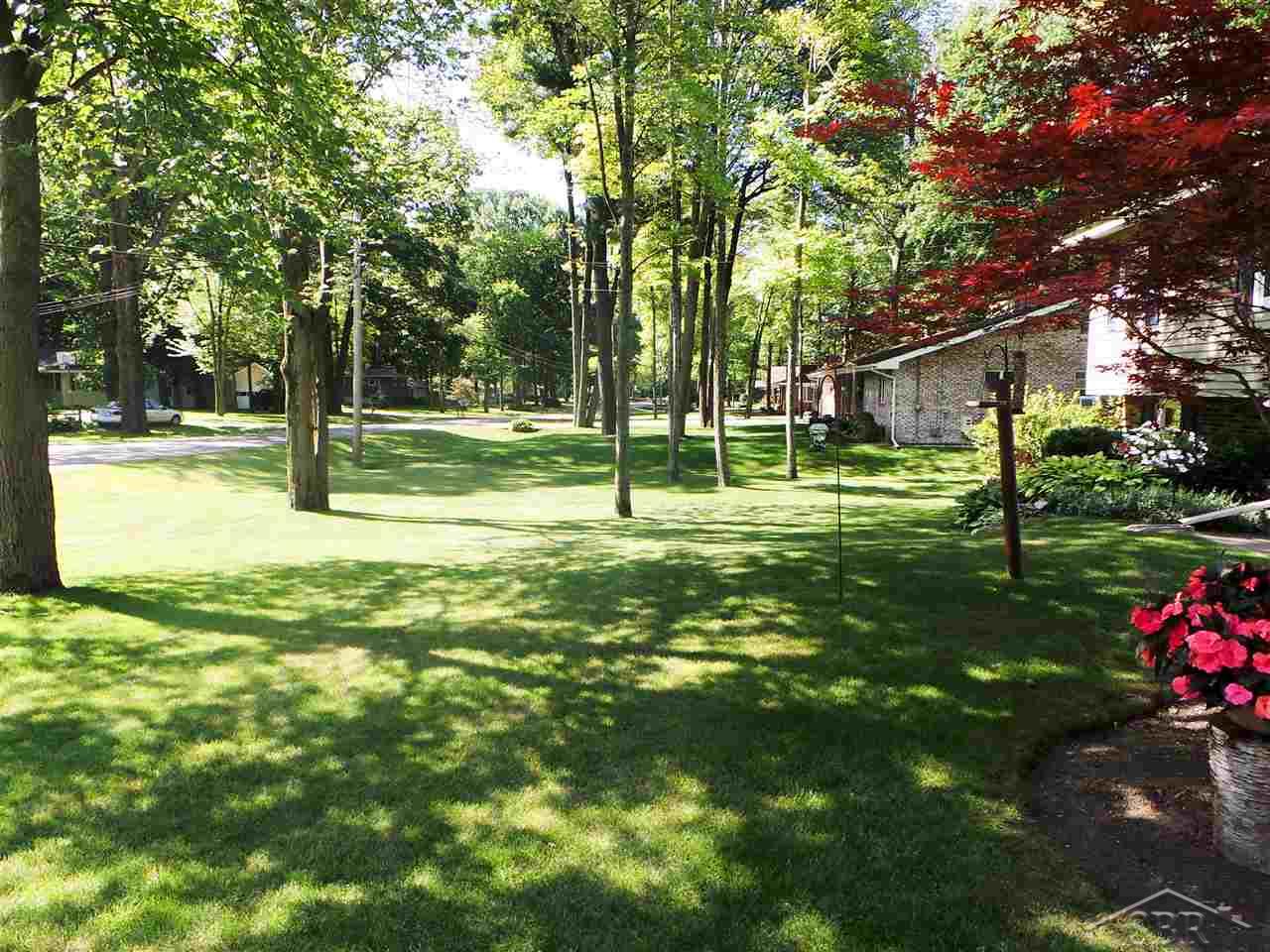 4216 Emerald Road Bridgeport, MI 48722 - Photo 4 of 22 31323814-3.JPG